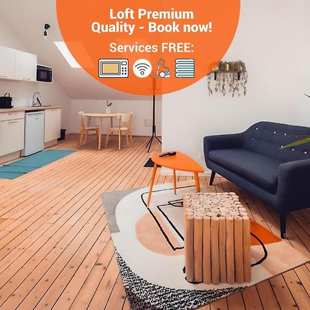 Loft Lumineux Tres Spacieux - Parking Gratuit Chateauroux Exterior photo
